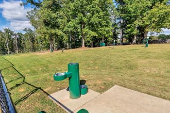Outdoor barbecue grills and picnic areas
